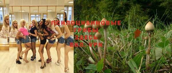 прущая мука Новокубанск