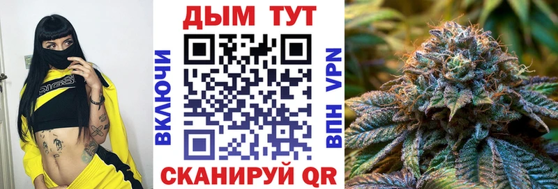 Бошки марихуана AK-47  Купить  Королёв 